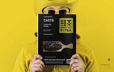安阳绯茶品牌设计